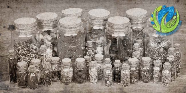 History of essential oils Essential Bracelet logo with jars of essential oil plants in background