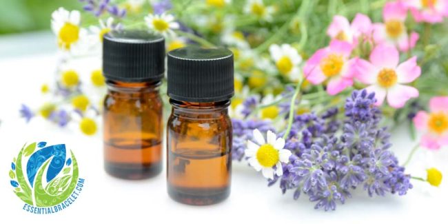 Essential oils and plants with Essential Bracelet logo