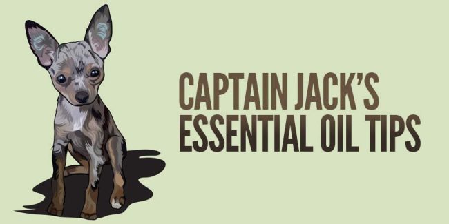 Essential oil tips tricks Captain Jack's Essential Oil Tips (title with dog illustration)