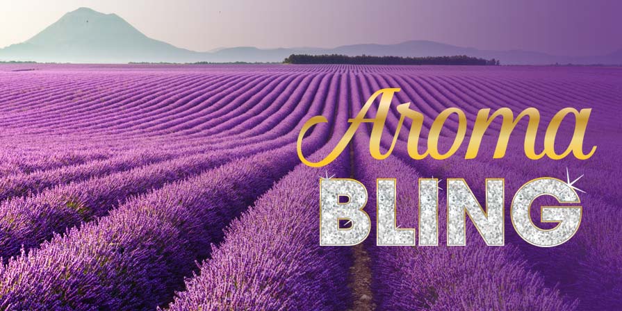 Aroma Bling (title over field of lavender)