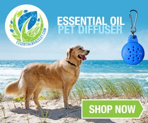 Essential Bracelet Pet Diffusers (Dog on beach)
